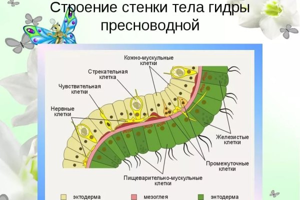 Зеркала на кракен kraken014 com