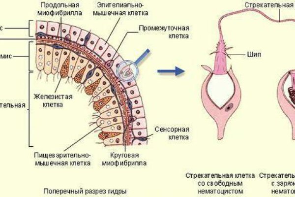 Кракен ссылки онлайн