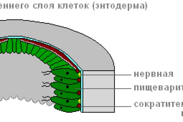 Кракен офф сайт