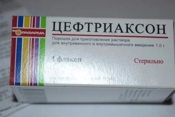 Кракен тор krakendark krakendark link